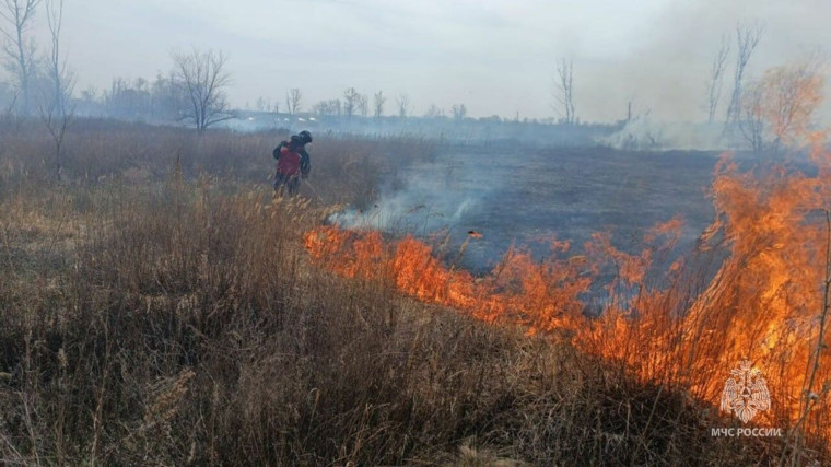 На территории Республики Мордовия введен особый противопожарный режим.