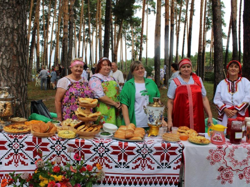 Ичалки, край любимый!.